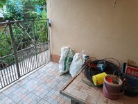 IMG_20260613_081026_764.jpg