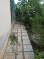 DSCN2050~2.JPG