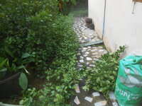 DSCN2048.JPG
