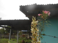 DSCN2056.JPG