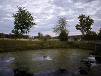 IMG_20260905_200716.jpg