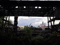 IMG_20260905_200834.jpg