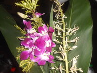 DSCN2354.JPG