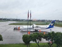 fl8.jpg