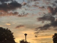 20260908_060535.jpg