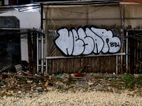20260907_205508.jpg