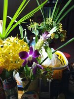 IMG_20260629_201653_074.jpg