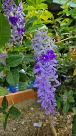 20260908_160225.jpg