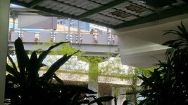 20260908_082426.jpg