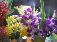 DSCN2371.JPG