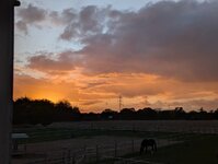 PXL_20260909_175204437.jpg