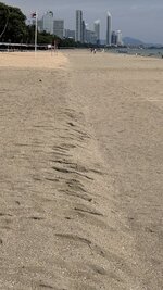 IMG_1198.jpeg