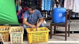 IMG_1201.jpeg