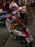 P2900572.jpeg