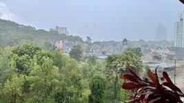 IMG_1215.jpeg