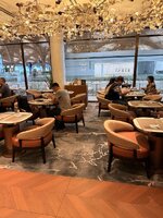 IMG_9235.jpeg