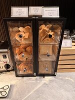 IMG_9237.jpeg