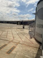 IMG_9250.jpeg