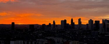 IMG_5922.jpeg