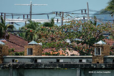 226-Bangrak-0908-2026-08.jpg
