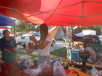 DSCN2337.JPG DSCN2337.JPG