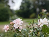 IMG_20260913_122208.jpg