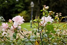 IMG_20260913_123225.jpg