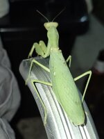 20260913_191055.jpg