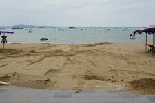 DSC02521.JPG