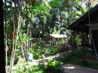 RIMG0606.JPG RIMG0606.JPG