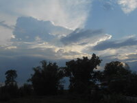 DSCN1917.JPG DSCN1917.JPG