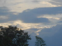DSCN1913.JPG DSCN1913.JPG