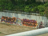 P2870570.jpeg