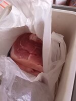 IMG_20260616_144510_517.jpg