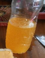DSCN1586~3.JPG