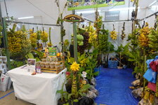 DSC02586.JPG