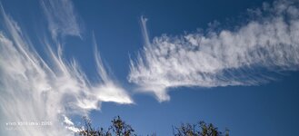 IMG_20260915_183031.jpg