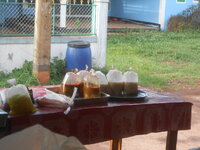 DSCN1828.JPG