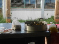 DSCN1829.JPG