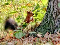 IMG_20260916_181740.jpg