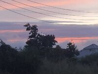 20260917_060136.jpg