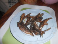 DSCN1867.JPG DSCN1867.JPG