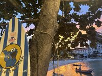 IMG_9348.jpeg IMG_9348.jpeg