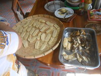 DSCN8390.JPG DSCN8390.JPG