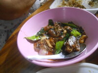 DSCN8400.JPG DSCN8400.JPG