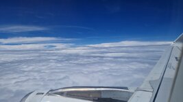 20260912_110754.jpg