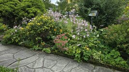 20260918_115050.jpg