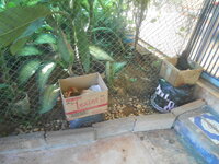 DSCN8473.JPG