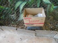 DSCN8680.JPG