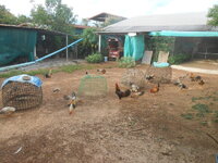 DSCN8701.JPG